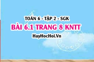 Bài 6.1 trang 8 Toán 6 Tập 2 Kết nối tri thức